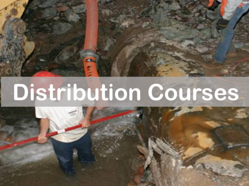 Distribution Courses
