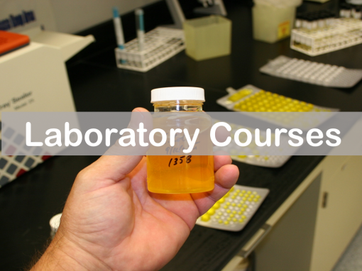 Laboratory Courses